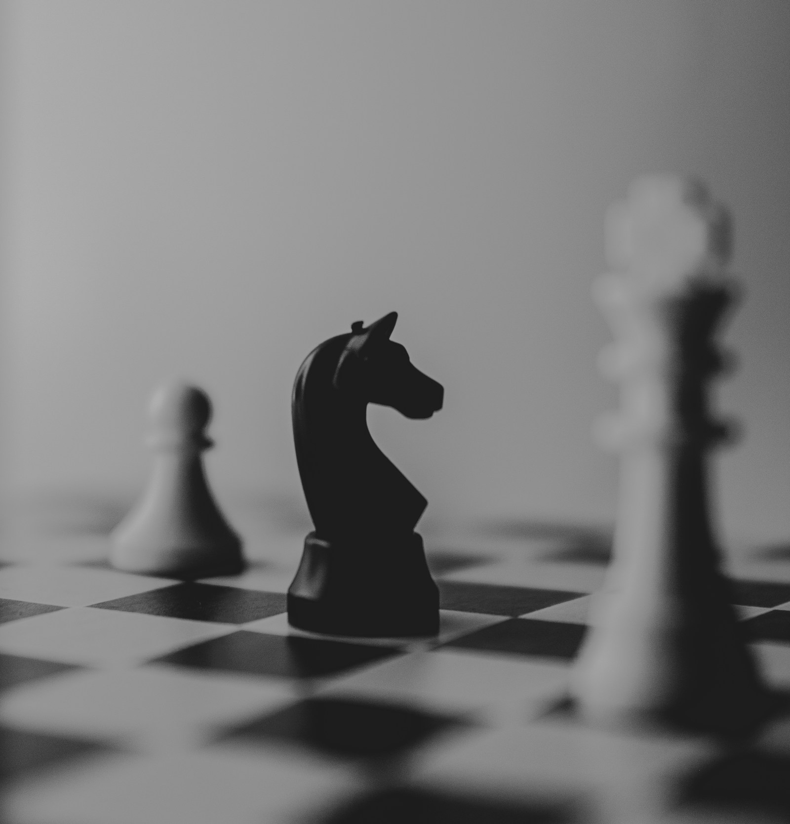 Black and white chess pieces with a knight in sharp focus.