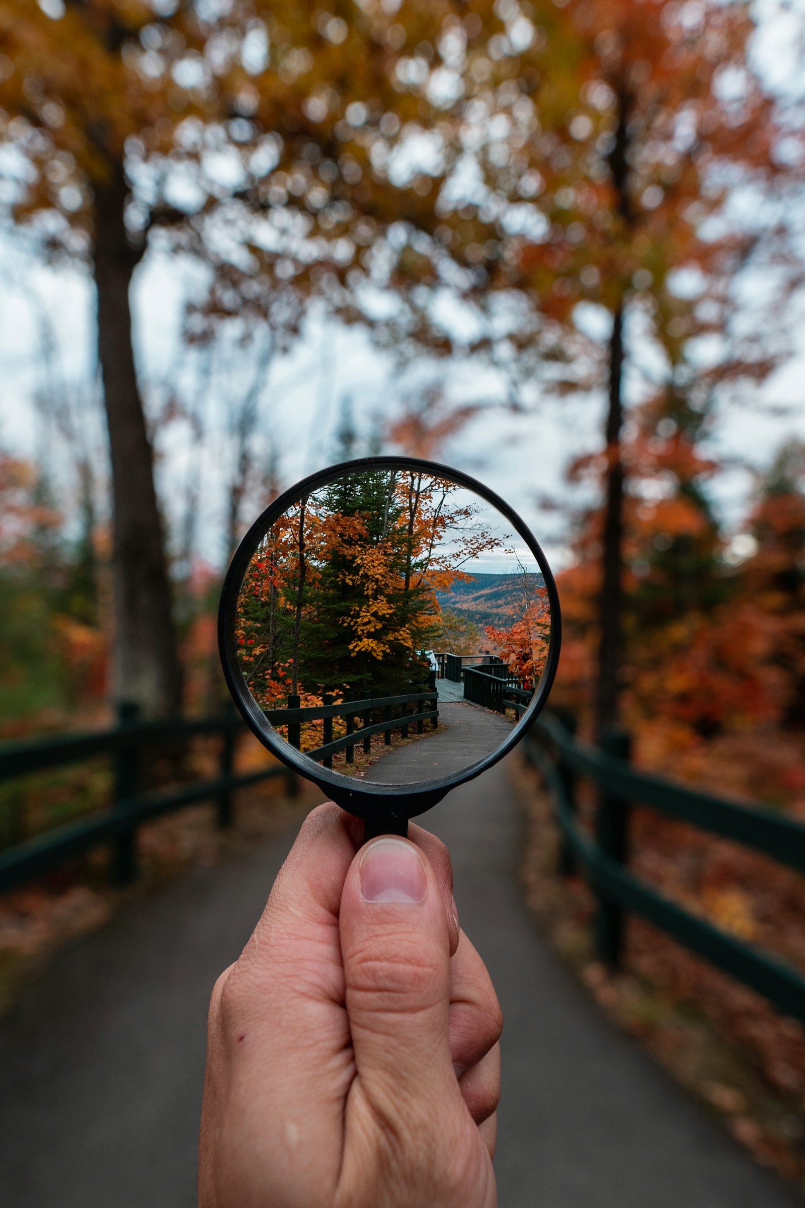 A hand holding a magnifying glass in an autumn landscape.