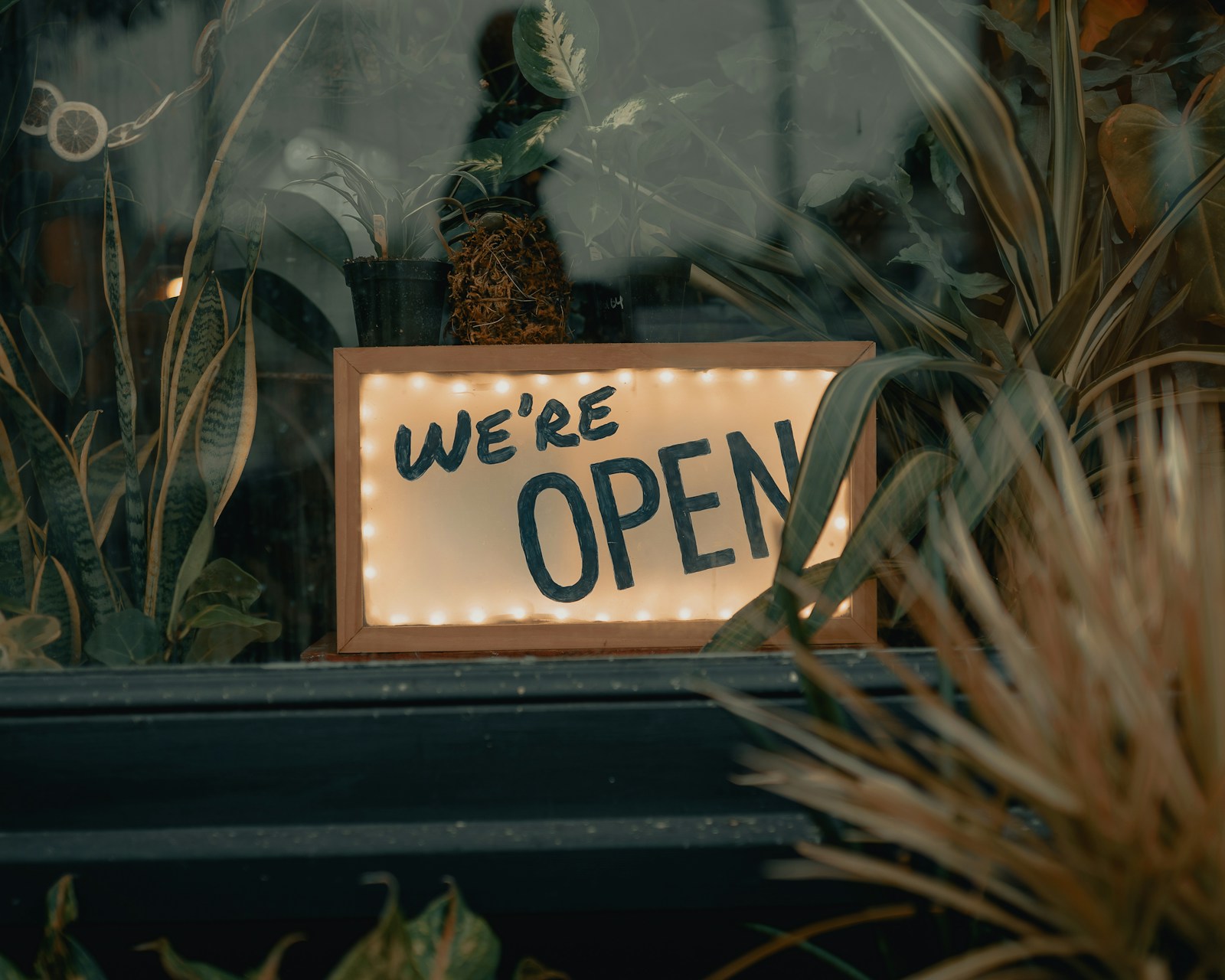 A small sign reading We Are Open in a window surrounded by plants.